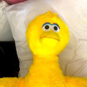 HUGE sesame Street Big bird